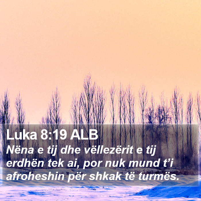 Luka 8:19 ALB Bible Study