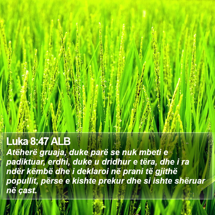 Luka 8:47 ALB Bible Study