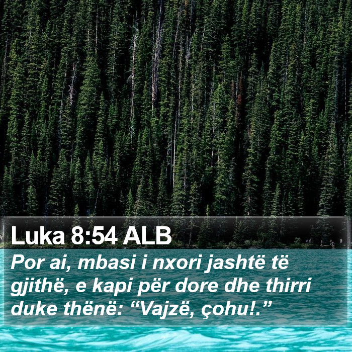 Luka 8:54 ALB Bible Study