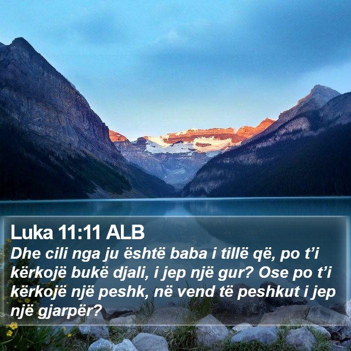 Luka 11:11 ALB Bible Study