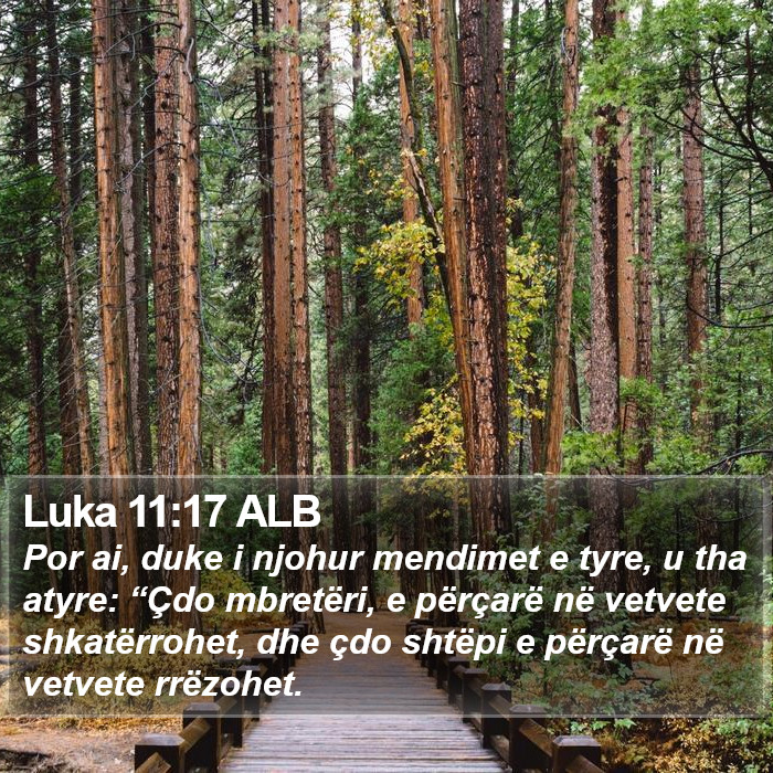 Luka 11:17 ALB Bible Study