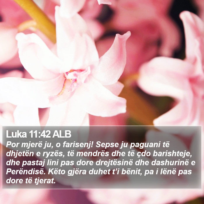 Luka 11:42 ALB Bible Study