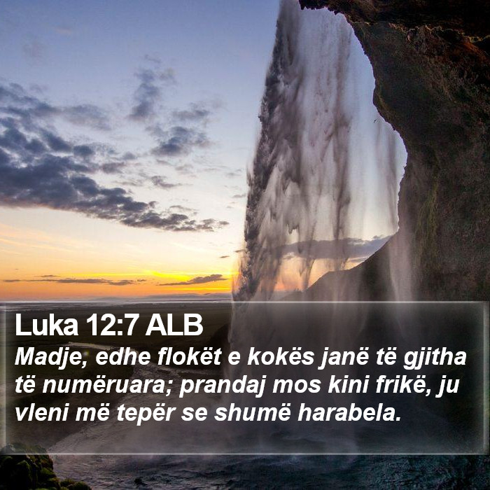 Luka 12:7 ALB Bible Study