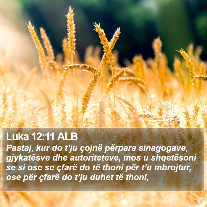 Luka 12:11 ALB Bible Study