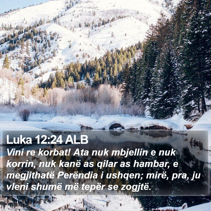 Luka 12:24 ALB Bible Study
