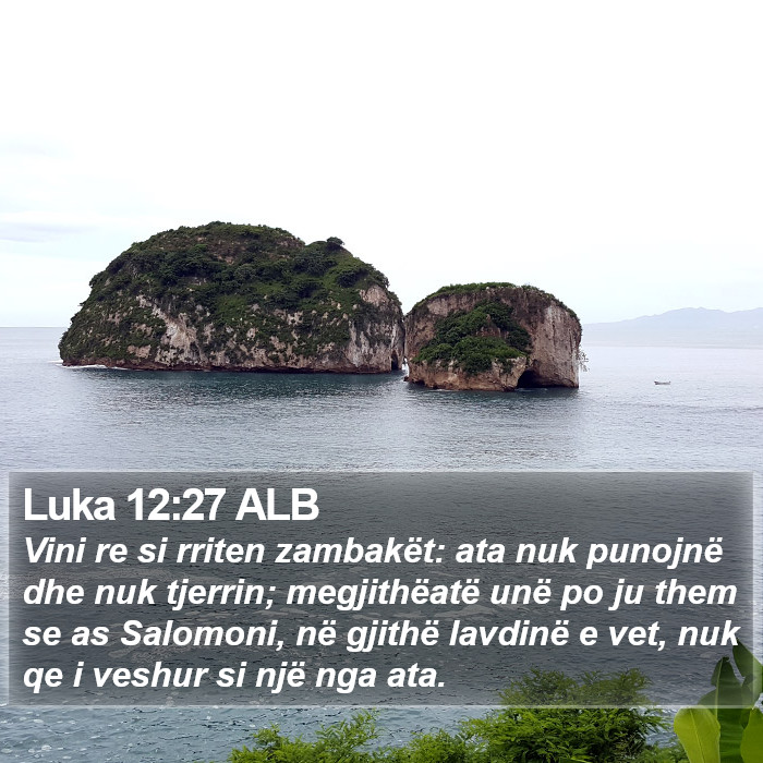 Luka 12:27 ALB Bible Study