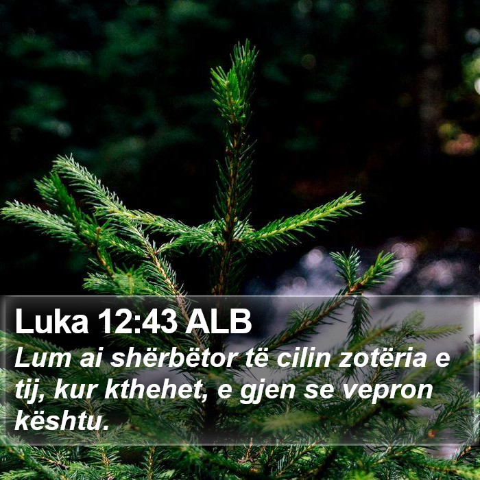 Luka 12:43 ALB Bible Study