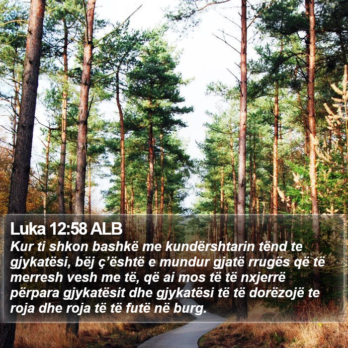 Luka 12:58 ALB Bible Study