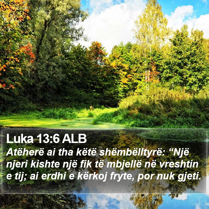 Luka 13:6 ALB Bible Study