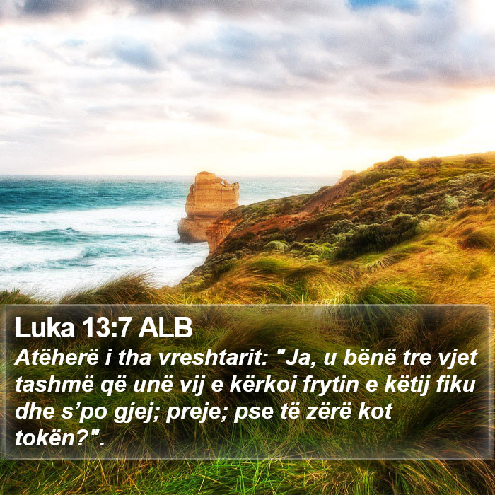 Luka 13:7 ALB Bible Study