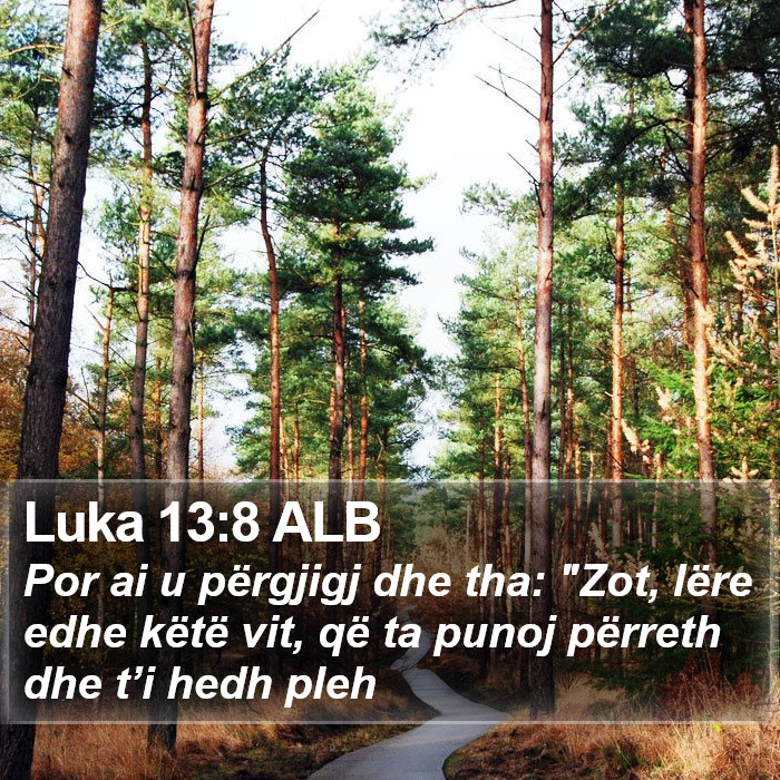 Luka 13:8 ALB Bible Study