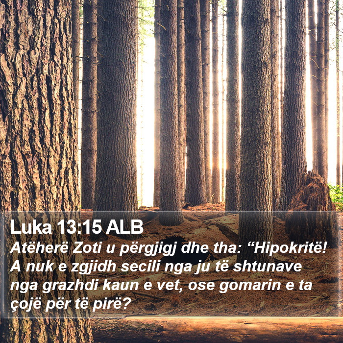 Luka 13:15 ALB Bible Study