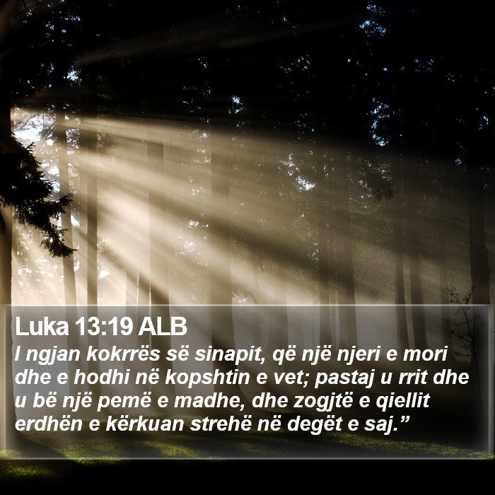 Luka 13:19 ALB Bible Study