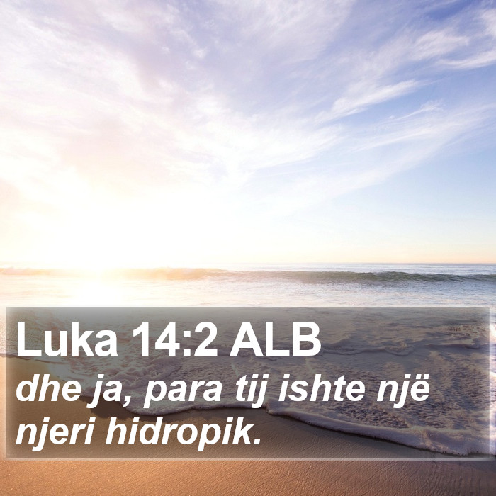 Luka 14:2 ALB Bible Study
