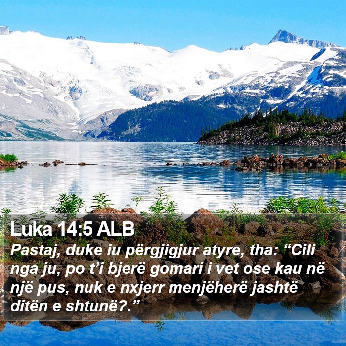 Luka 14:5 ALB Bible Study