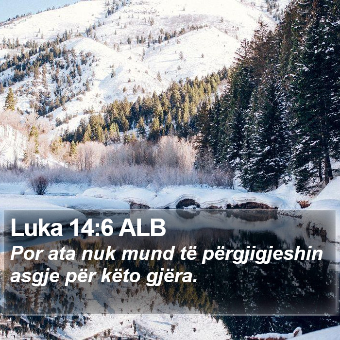 Luka 14:6 ALB Bible Study
