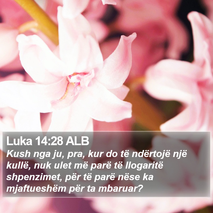 Luka 14:28 ALB Bible Study