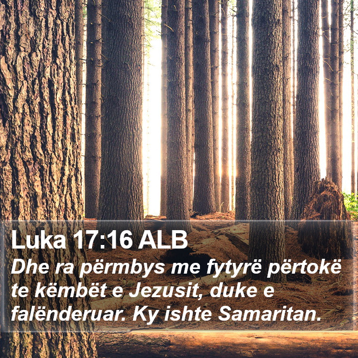 Luka 17:16 ALB Bible Study