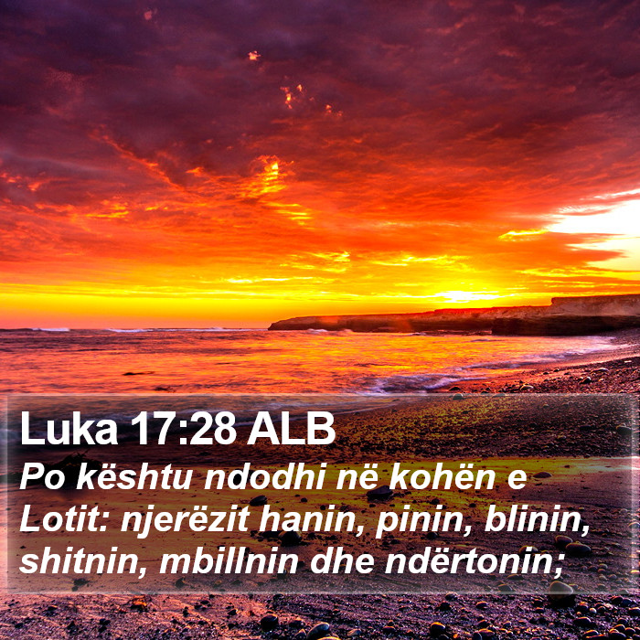 Luka 17:28 ALB Bible Study