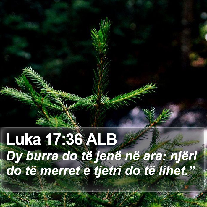Luka 17:36 ALB Bible Study