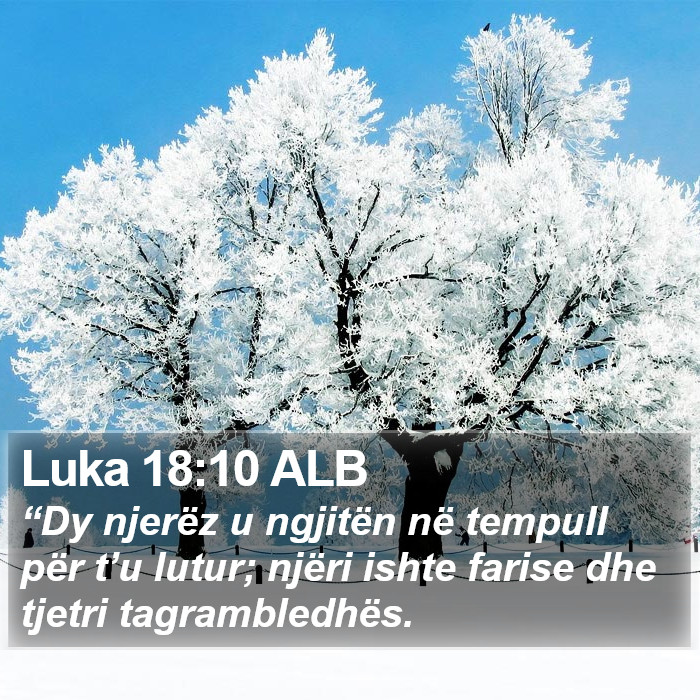 Luka 18:10 ALB Bible Study