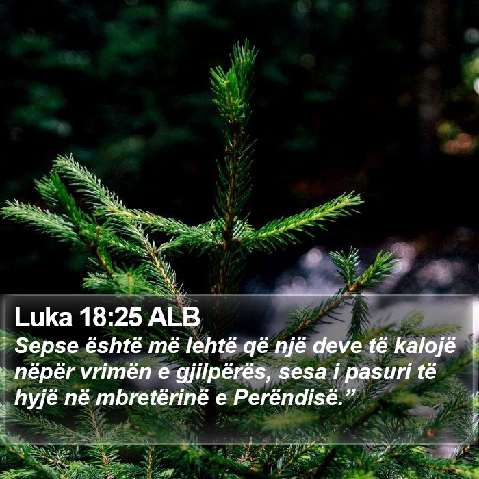 Luka 18:25 ALB Bible Study