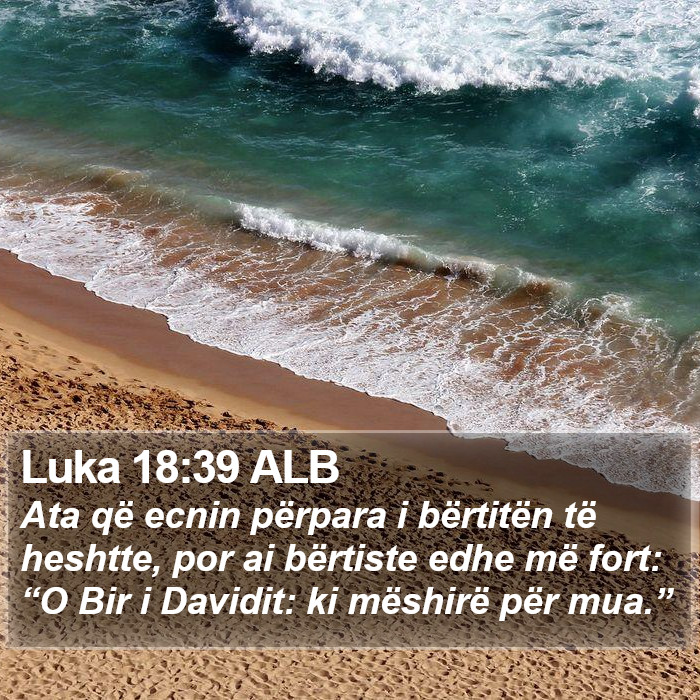 Luka 18:39 ALB Bible Study