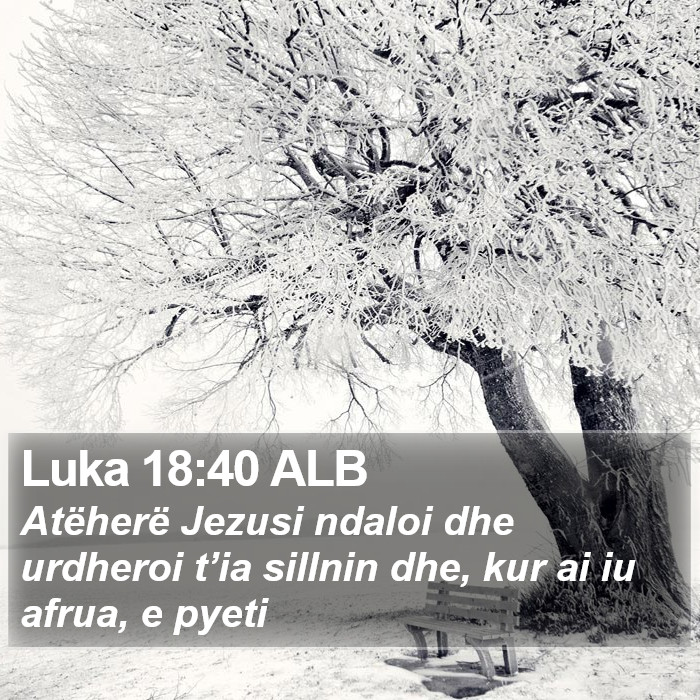 Luka 18:40 ALB Bible Study