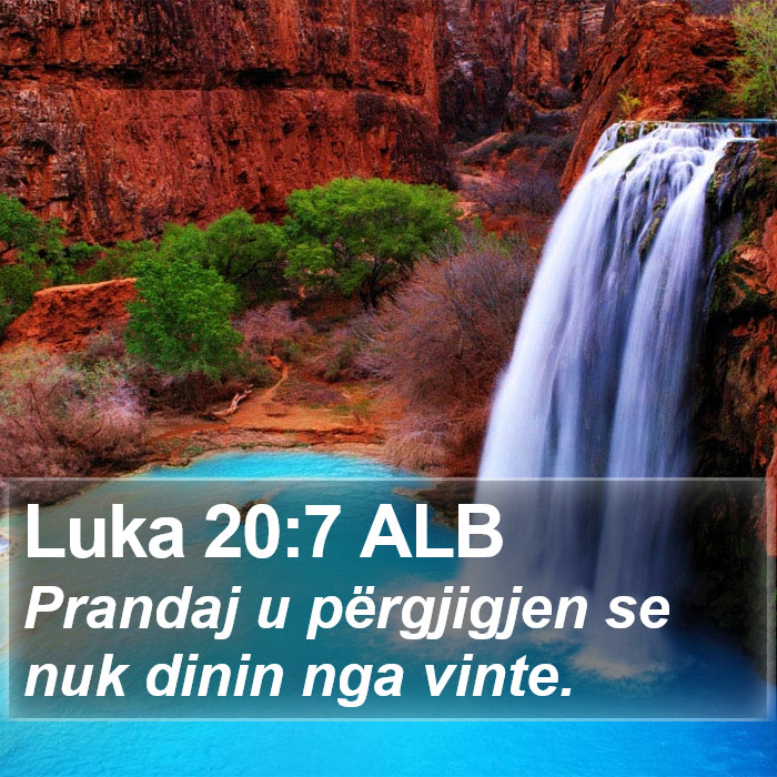 Luka 20:7 ALB Bible Study