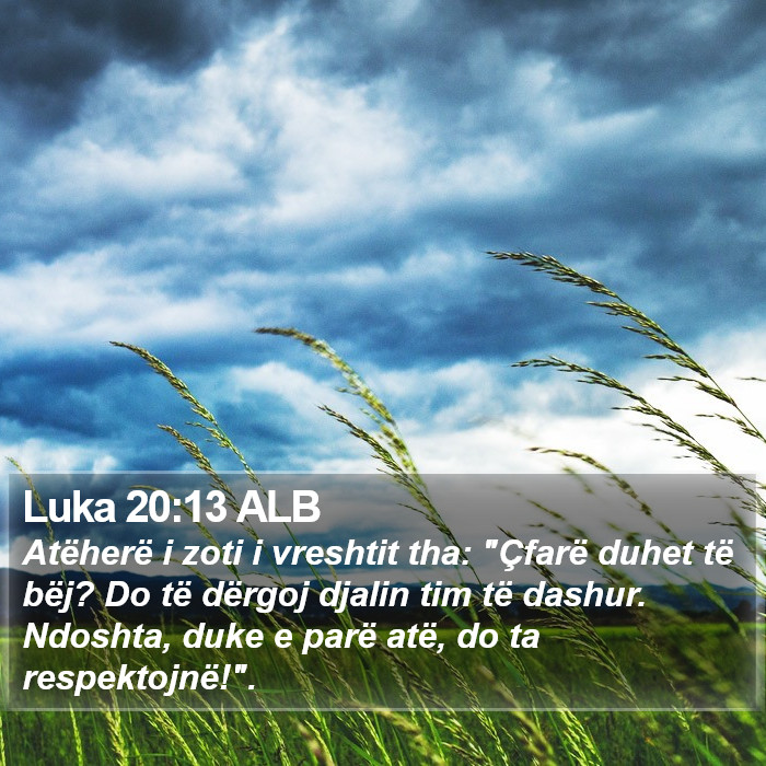 Luka 20:13 ALB Bible Study