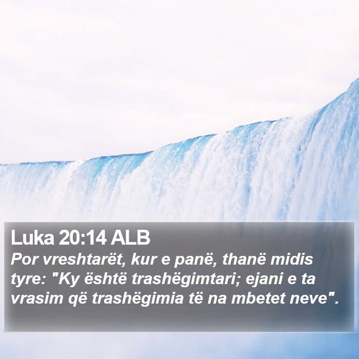 Luka 20:14 ALB Bible Study