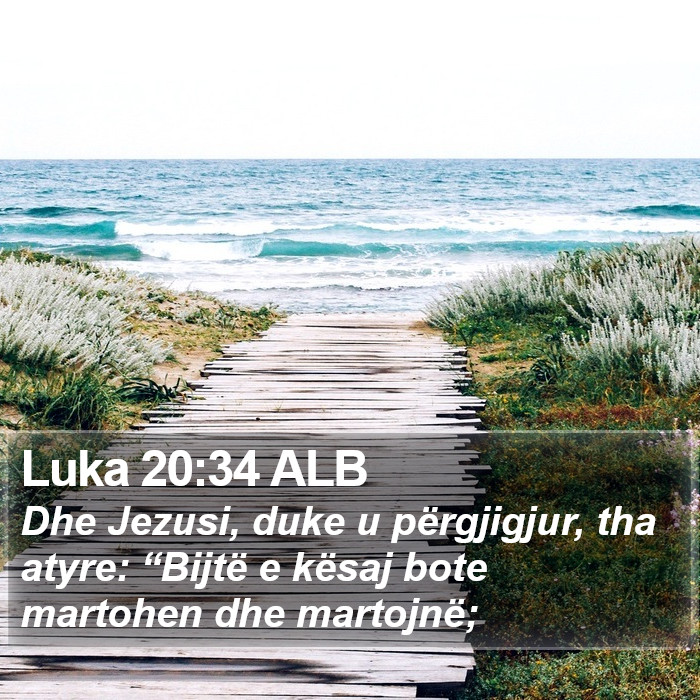 Luka 20:34 ALB Bible Study