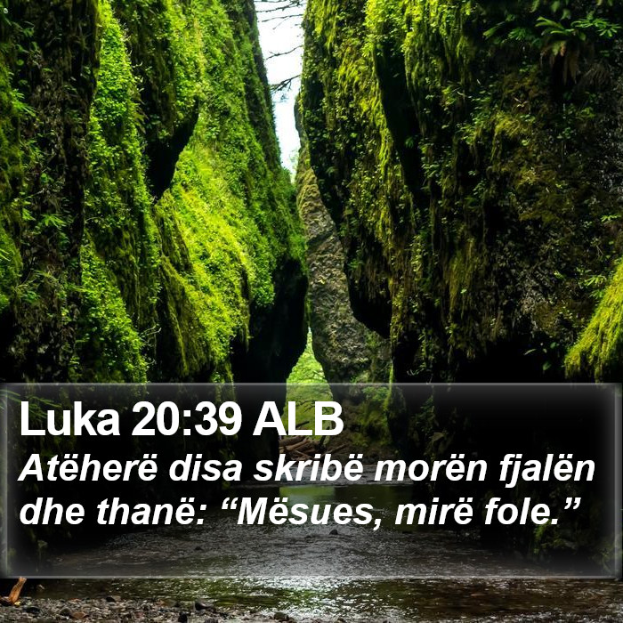 Luka 20:39 ALB Bible Study