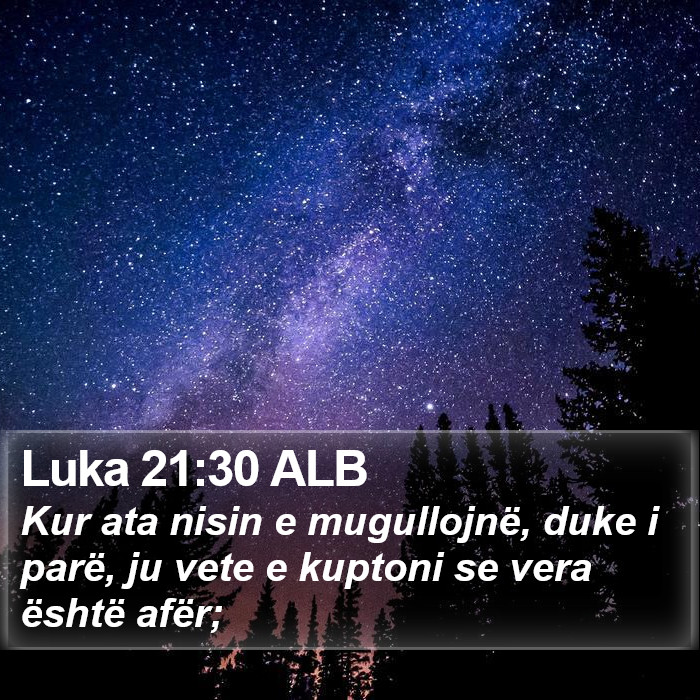 Luka 21:30 ALB Bible Study