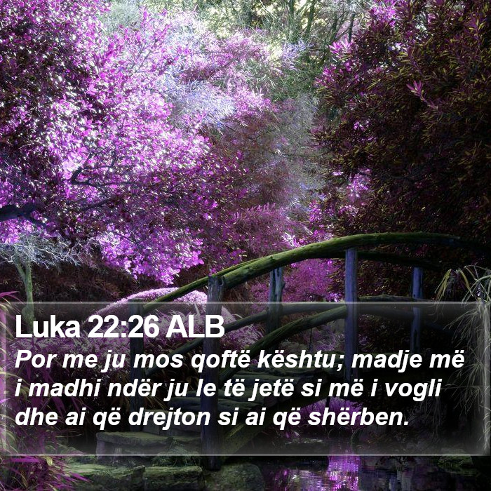 Luka 22:26 ALB Bible Study