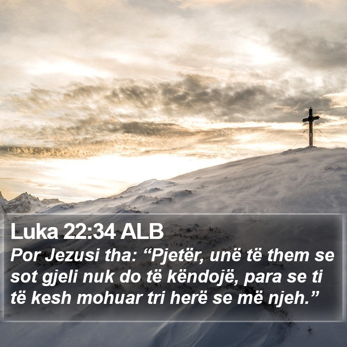 Luka 22:34 ALB Bible Study