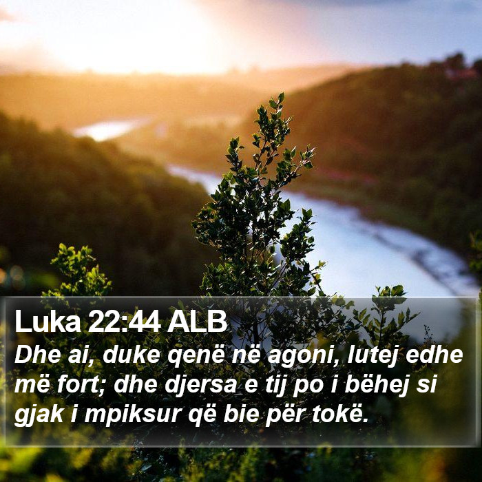 Luka 22:44 ALB Bible Study