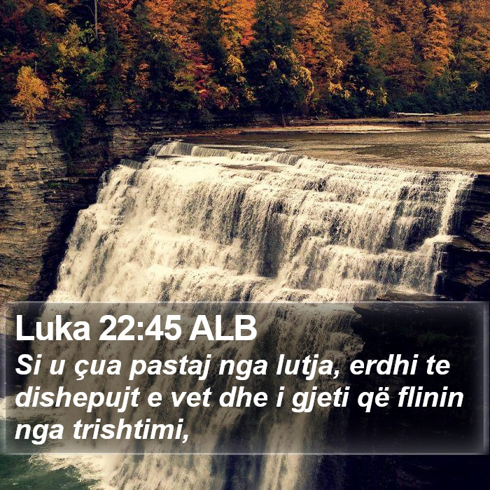 Luka 22:45 ALB Bible Study