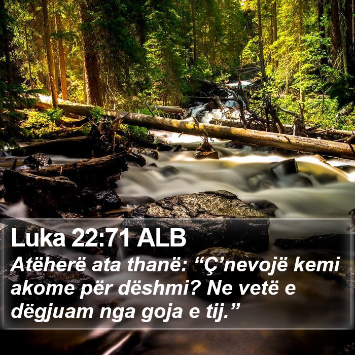 Luka 22:71 ALB Bible Study