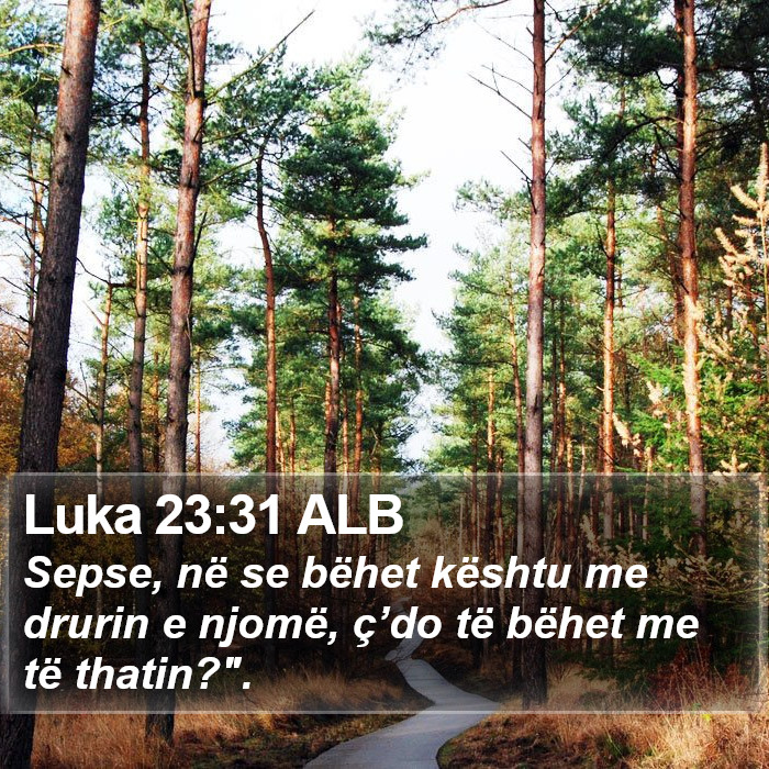 Luka 23:31 ALB Bible Study
