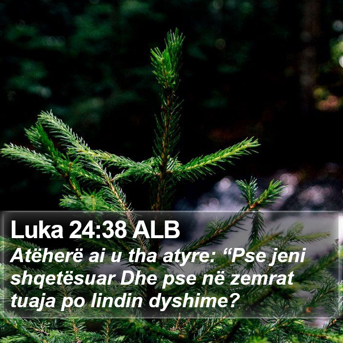 Luka 24:38 ALB Bible Study