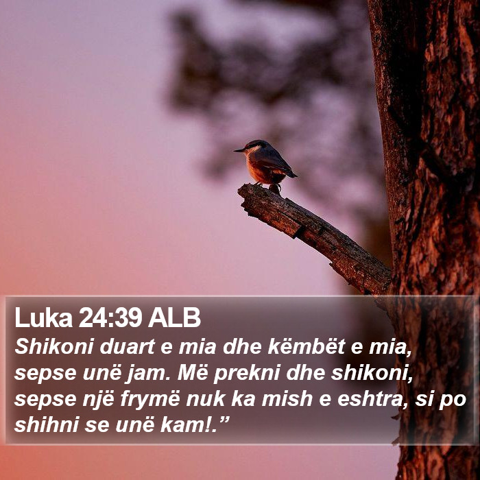 Luka 24:39 ALB Bible Study