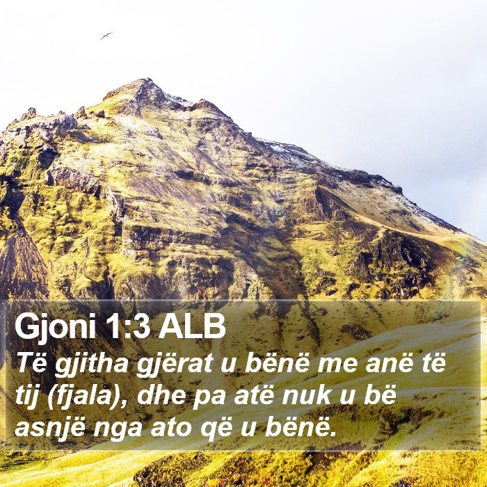 Gjoni 1:3 ALB Bible Study