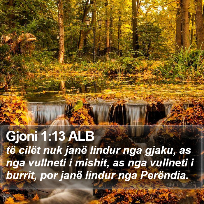 Gjoni 1:13 ALB Bible Study