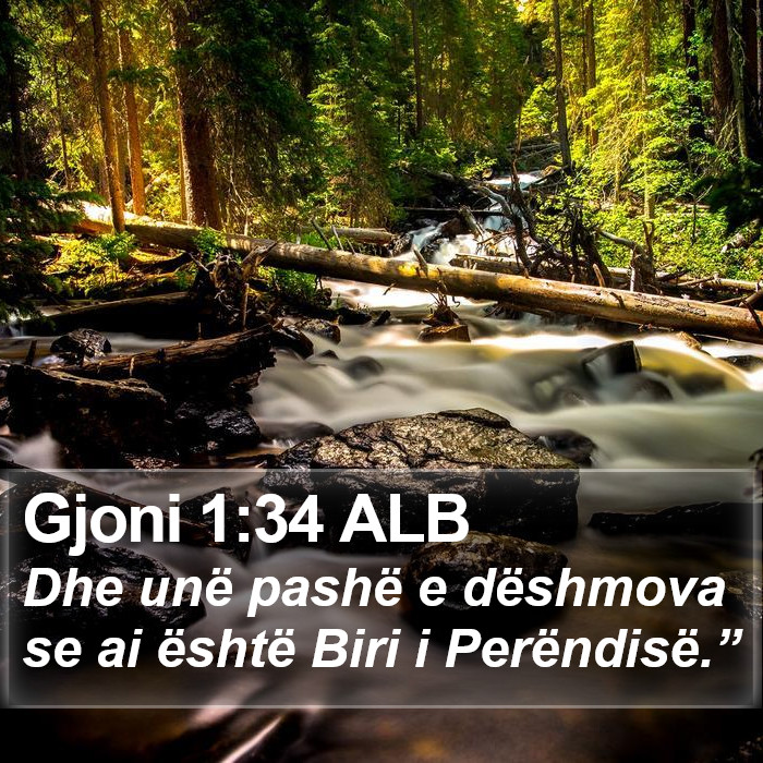 Gjoni 1:34 ALB Bible Study