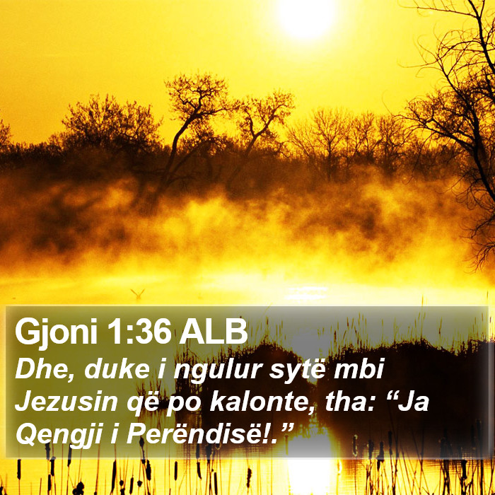 Gjoni 1:36 ALB Bible Study