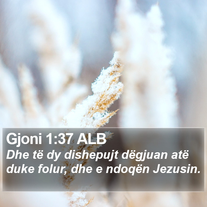 Gjoni 1:37 ALB Bible Study