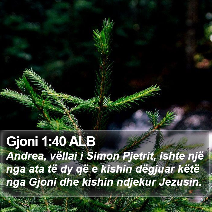 Gjoni 1:40 ALB Bible Study