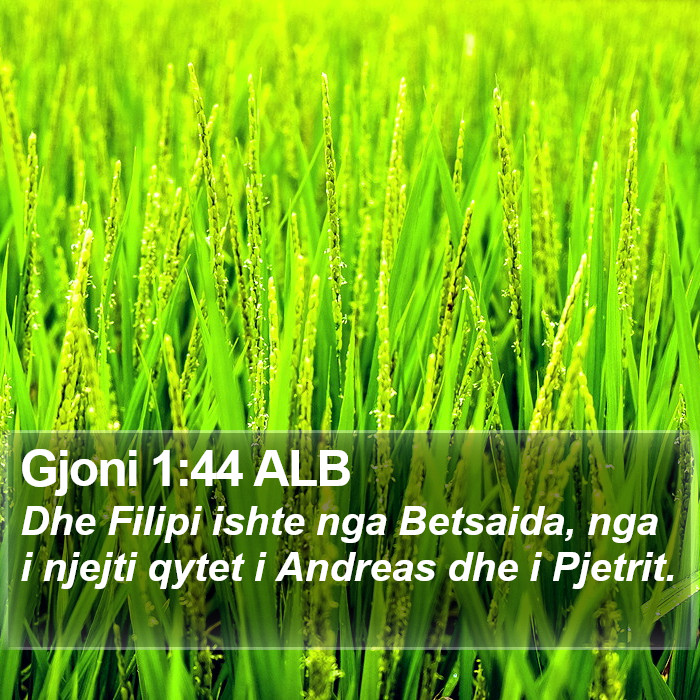 Gjoni 1:44 ALB Bible Study