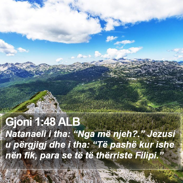 Gjoni 1:48 ALB Bible Study